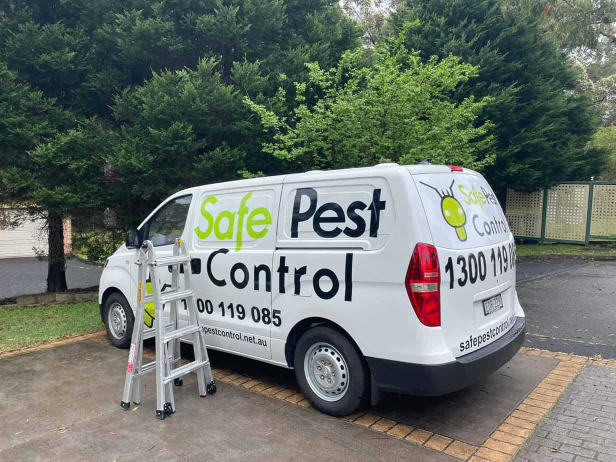 pest control artarmon