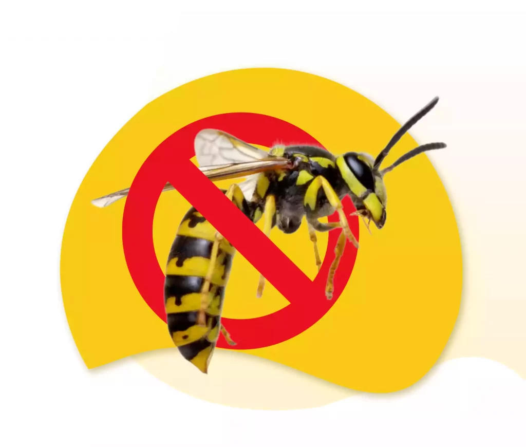 wasp control | Wasp Nest Removal