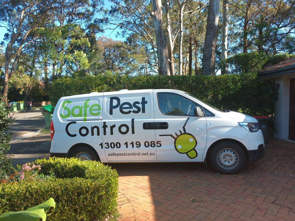 Cockroach Control Services in Vaucluse