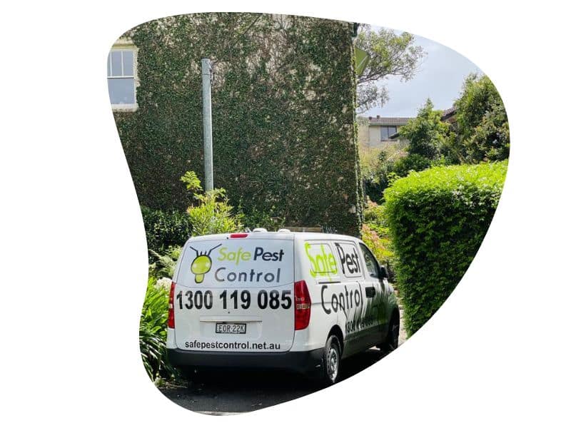 pest control - dover heights