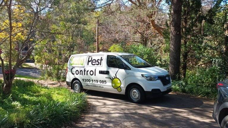 pest control services in sydney